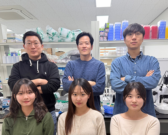 김주원 교수 연구팀, 산화스트레스–페롭토시스 축 규명… 홍삼 추출물로 생식 노화 회복 가능성 제시