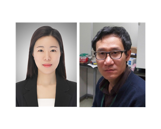 고기남 교수팀, 역분화 줄기세포 유도기술로 ‘전분화능 줄기세포 특이적 각인 유전자’ 발굴
