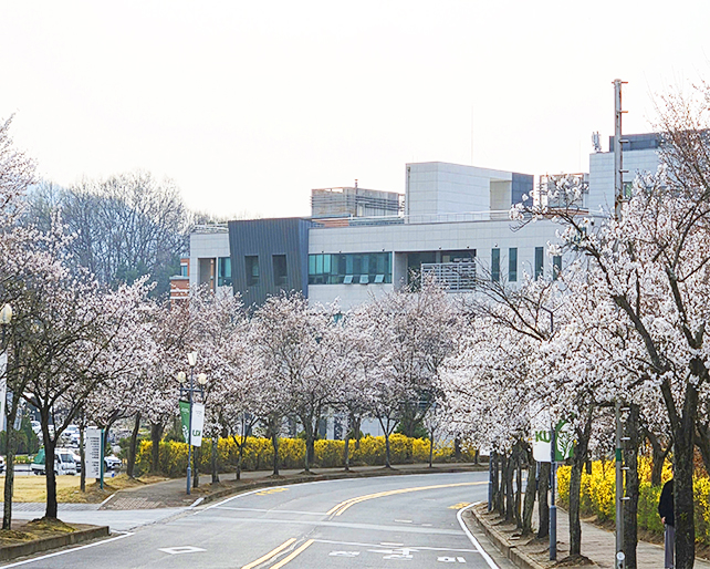 2026학년도 벚꽃축제 ‘이어봄’ 개최… 최유리·#안녕 출격