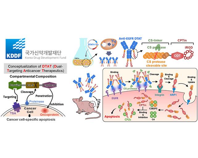 생명공학과 원형식, 김찬길, 한상우 교수팀, 범부처 ‘국가신약개발과제’ 선정