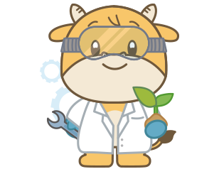 과학기술대학 쿠